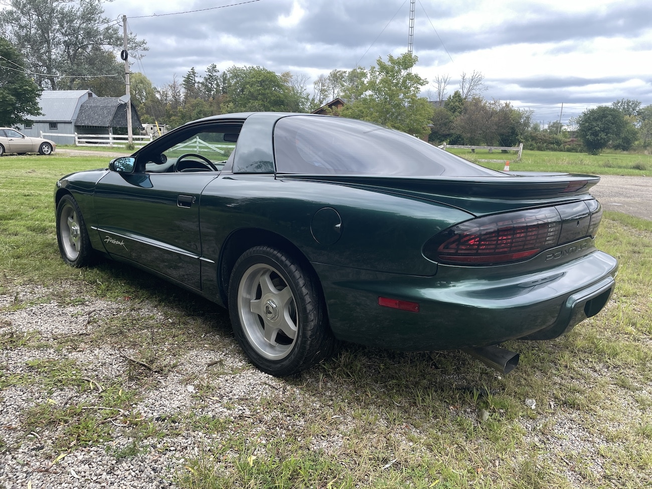 1993 Pontiac Firebird Firehawk