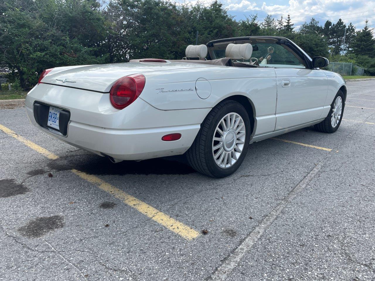 2005 Ford Thunderbird Convertible 50th Anniversary Cashmere Edition #517 of 1500 with Hardtop and Stand